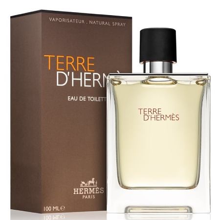 Hermes Terre D'Hermes EDT 100 ml 